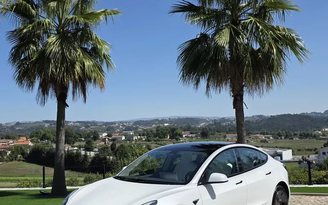 Tesla Model 3 Long Range AWD Dual Motor