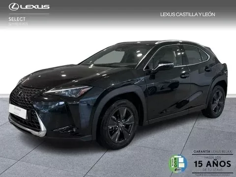 LEXUS UX 300H + 2WD