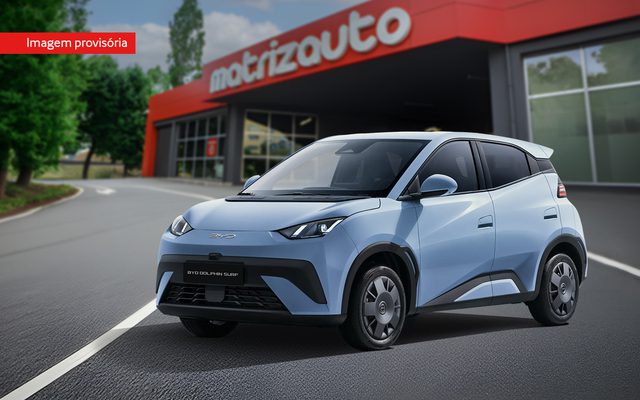 Byd Dolphin Surf