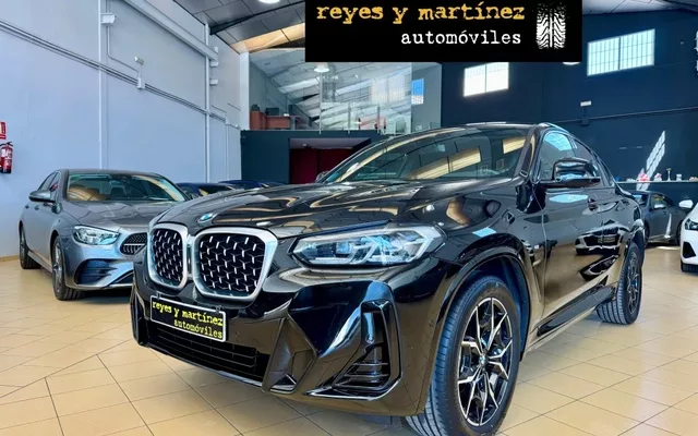 BMW X4 X4 xDrive 20dA xLine M Sport