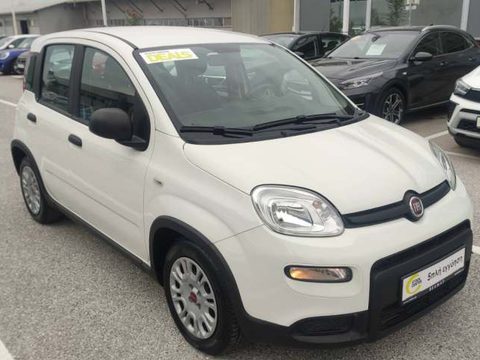 Fiat - Panda - 5 Χρόνια Εγγύηση - URBAN HYBRID - Ασπρο - 2024