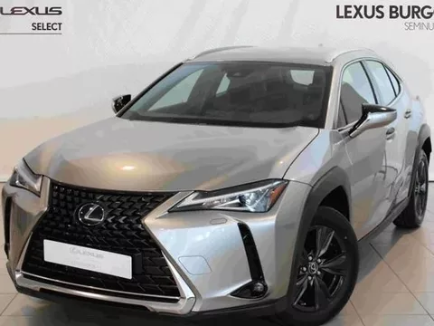 LEXUS UX UX 250h Business City 2WD