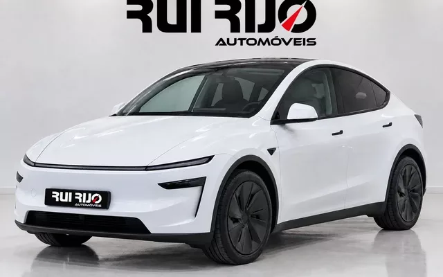 Tesla Model Y Long Range Tração Integral