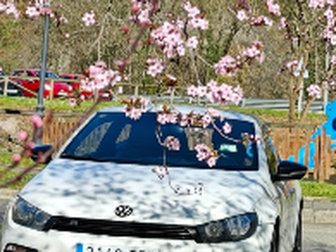 VOLKSWAGEN Scirocco Scirocco 1.4 TSI