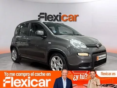 FIAT Panda City Life Hybrid 1.0 Gse 51kw (70CV)