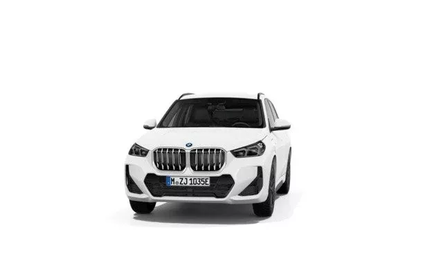 BMW X1 X1 xDrive25eA