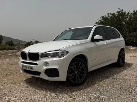 BMW X5 X5 xDrive 30dA