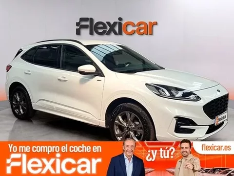 FORD Kuga Kuga 2.5 Duratec PHEV ST-Line 4x2