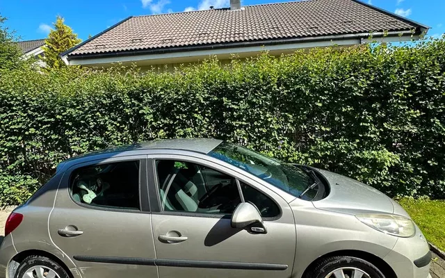 Peugeot 207