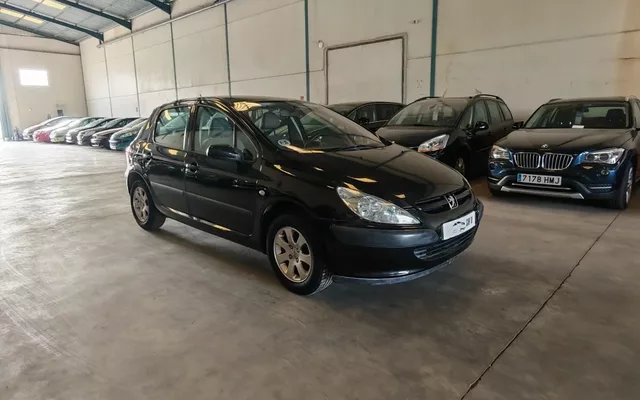 PEUGEOT 307 307 1.6i XR Clim Plus