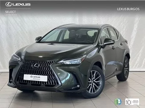 LEXUS NX NX 350h Business City 4WD