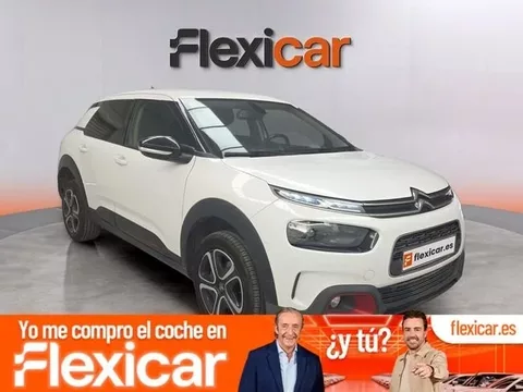 CITROEN C4 Cactus BlueHDi 100 S&S C-Series