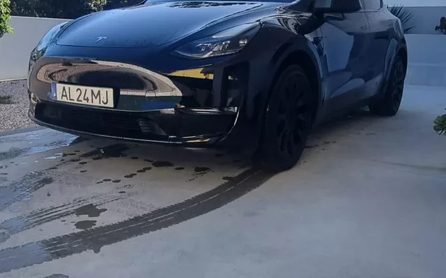 Tesla Model Y Long Range Tração Integral