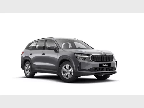 SKODA Kodiaq Kodiaq Family 1,5 TSI m-HEV 110 kW DSG7 - 5 jaar garantie