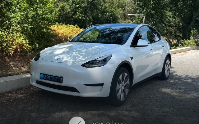 Tesla Model Y RWD