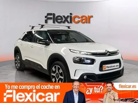 CITROEN C4 Cactus C4 Cactus 1.5BlueHDi S&S Business 100