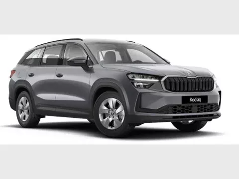 SKODA Kodiaq Kodiaq Family 1,5 TSI m-HEV 110 kW DSG7 - 5 jaar garantie
