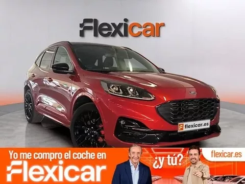 FORD Kuga Kuga 2.5 Duratec FHEV ST-Line X 4x2 Aut.