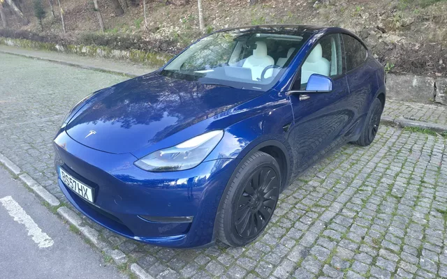 Tesla Model Y Long Range Dual Motor AWD