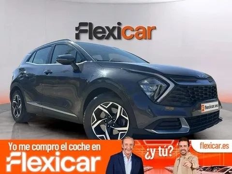 KIA Sportage Sportage 1.6 CRDi Concept 115