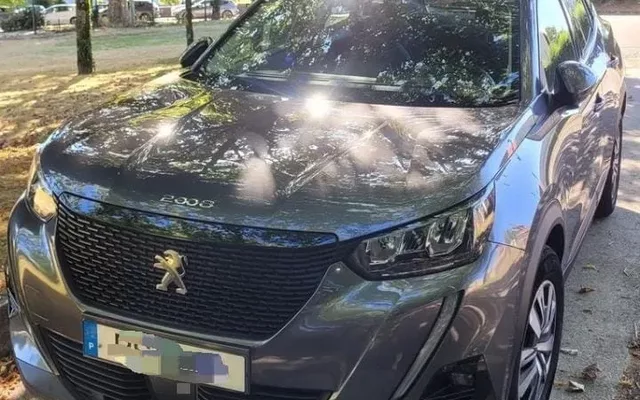 Peugeot 2008 BlueHDi 110 Active
