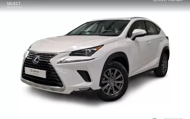 LEXUS NX NX 300h Business Navigation 2WD