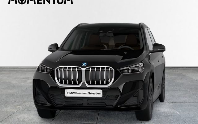 BMW X1 X1 xDrive25eA
