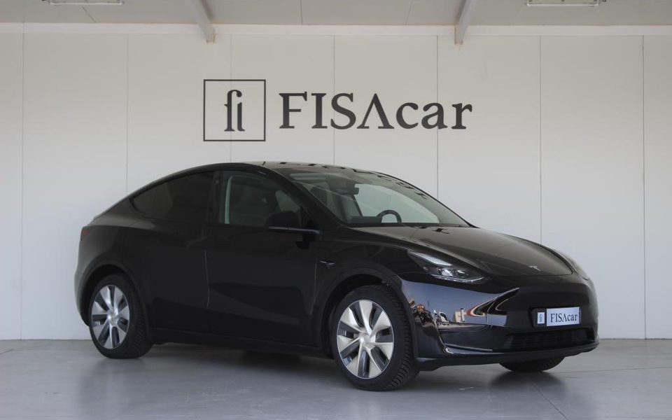 TESLA MODEL Y LONG RANGE DUAL MOTOR AWD