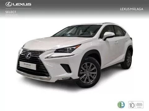 LEXUS NX NX 300h Business Navigation 2WD