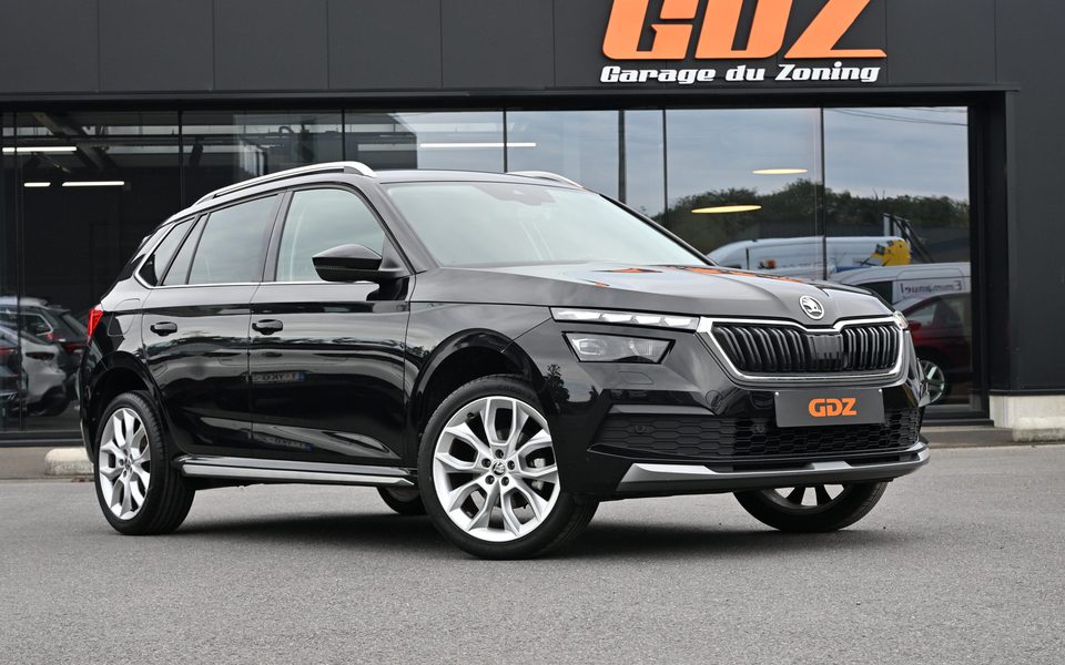 Skoda Kamiq Clever + 1.0 Tsi 110 DSG 38.412 Km