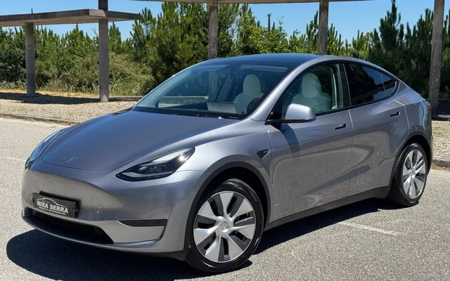 Tesla Model Y Long Range Tração Traseira