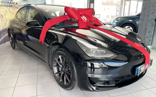 Tesla Model 3 2021 Long Range AWD Dual Motor