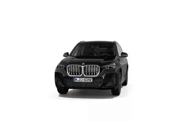 BMW X1 X1 xDrive25eA