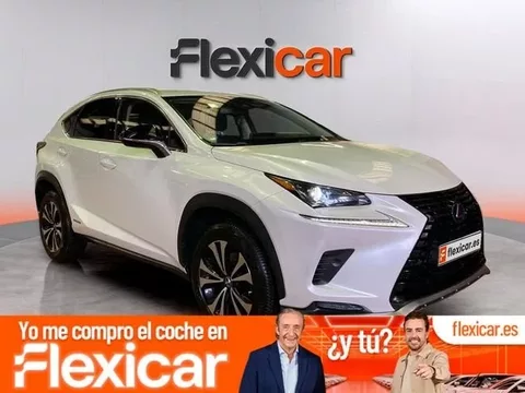LEXUS NX NX 300h Business 2WD