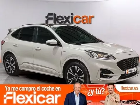 FORD Kuga Kuga 2.5 Duratec FHEV ST-Line 4x2 Aut.
