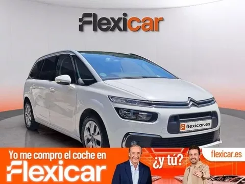 CITROEN C4 PureTech 96KW (130CV) S&S 6v Feel