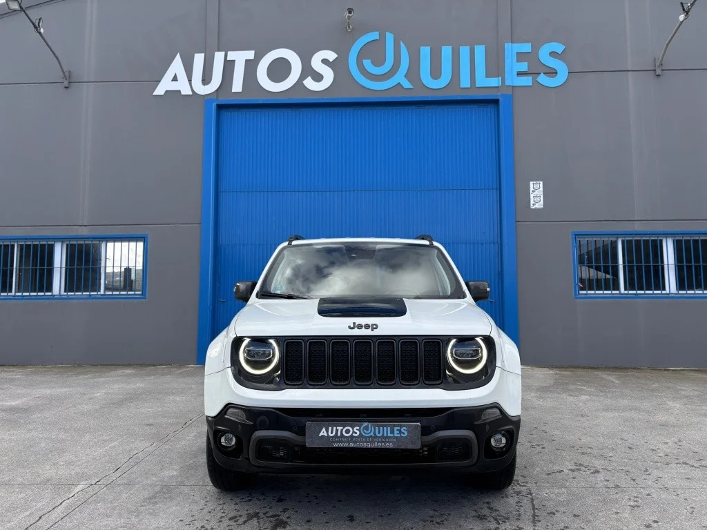 JEEP Renegade Renegade 2.0Mjt Trailhawk 4x4 Low Auto 170
