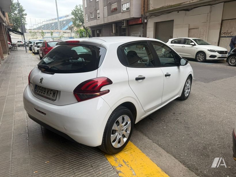 Foto 5