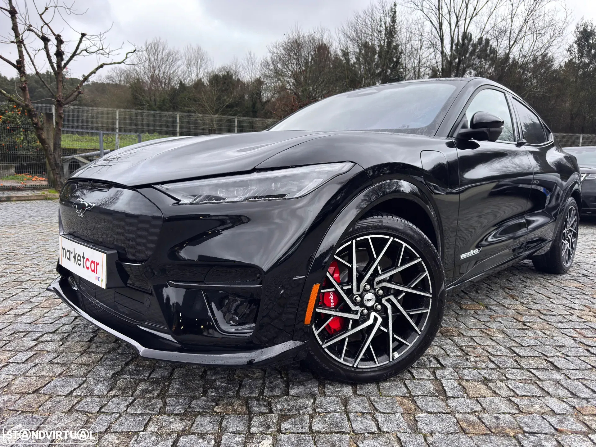 Ford Mustang Mach-E AWD GT
