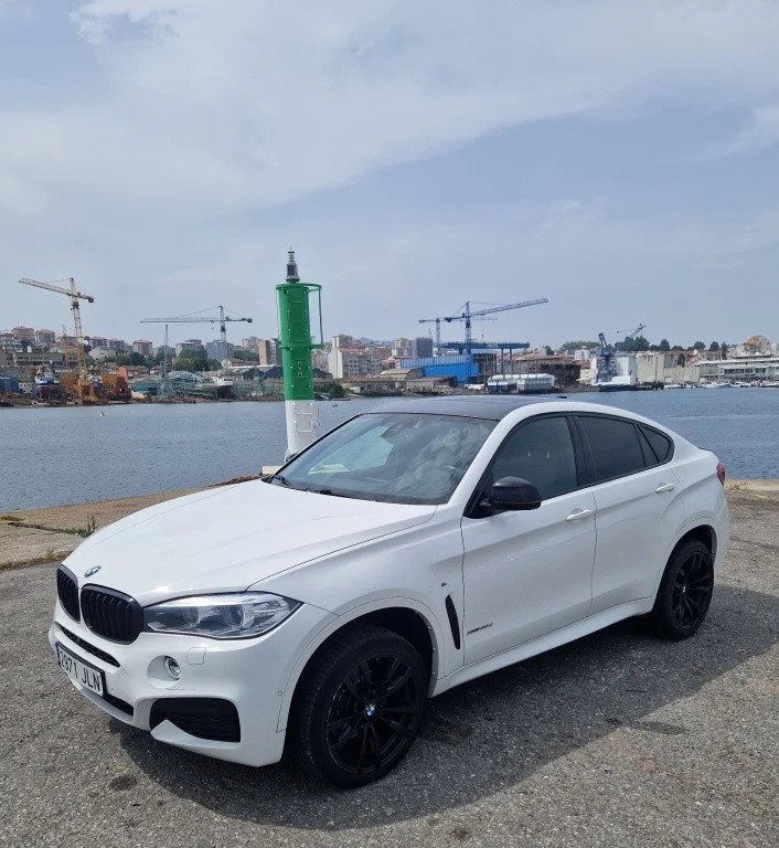 BMW X6 X6 xDrive 30dA