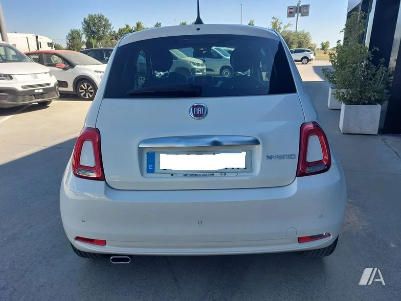 Foto 4
