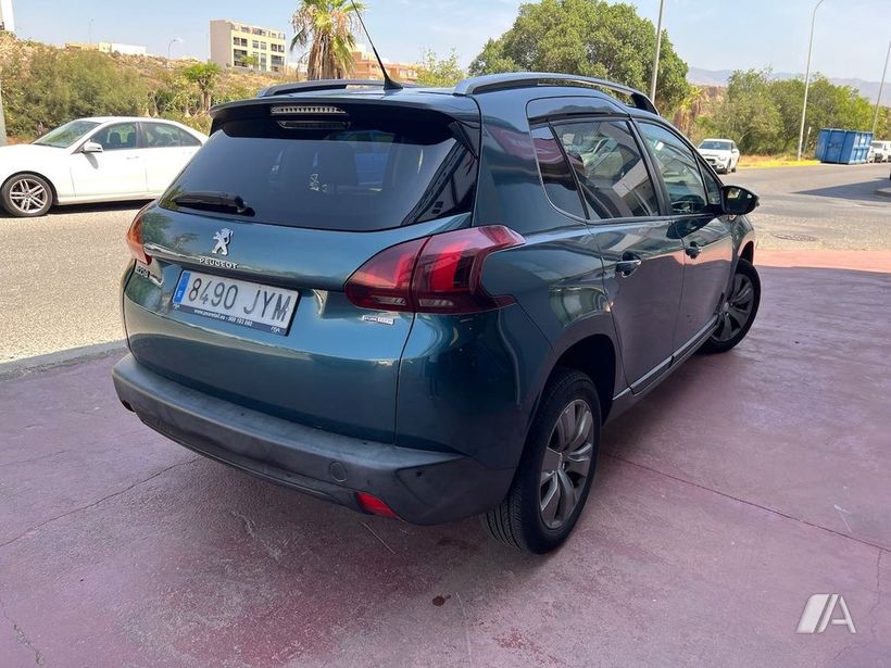 Foto 5