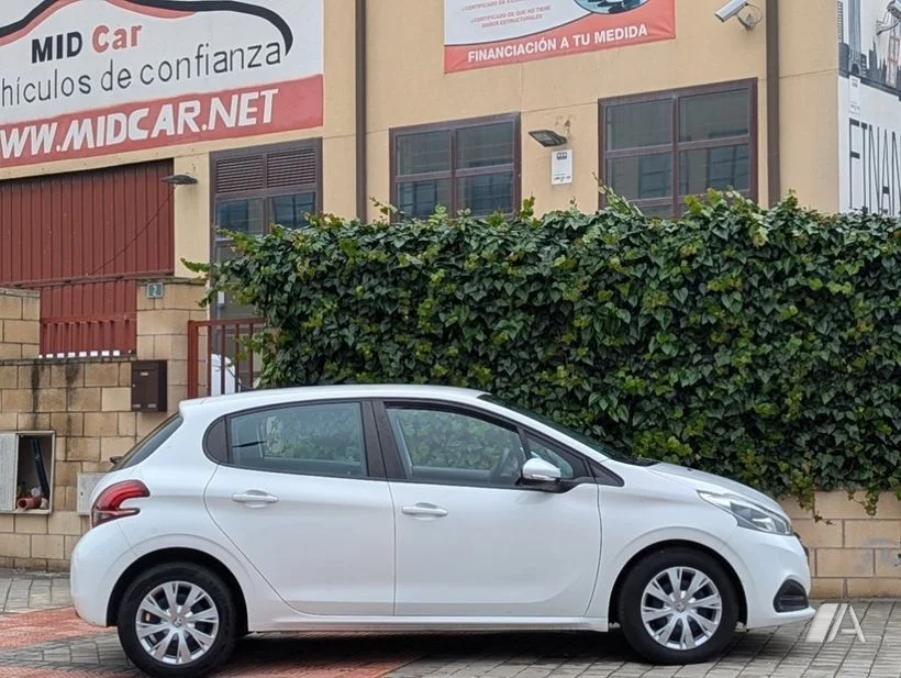 Foto 4