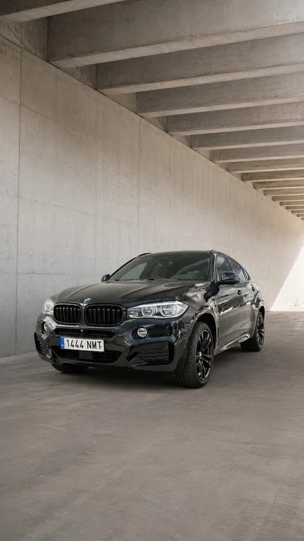 BMW X6 G06 xDrive30d 265 5p Aut