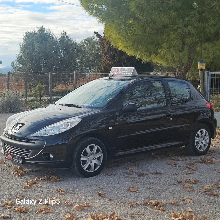 PEUGEOT 206 1.1 60cv