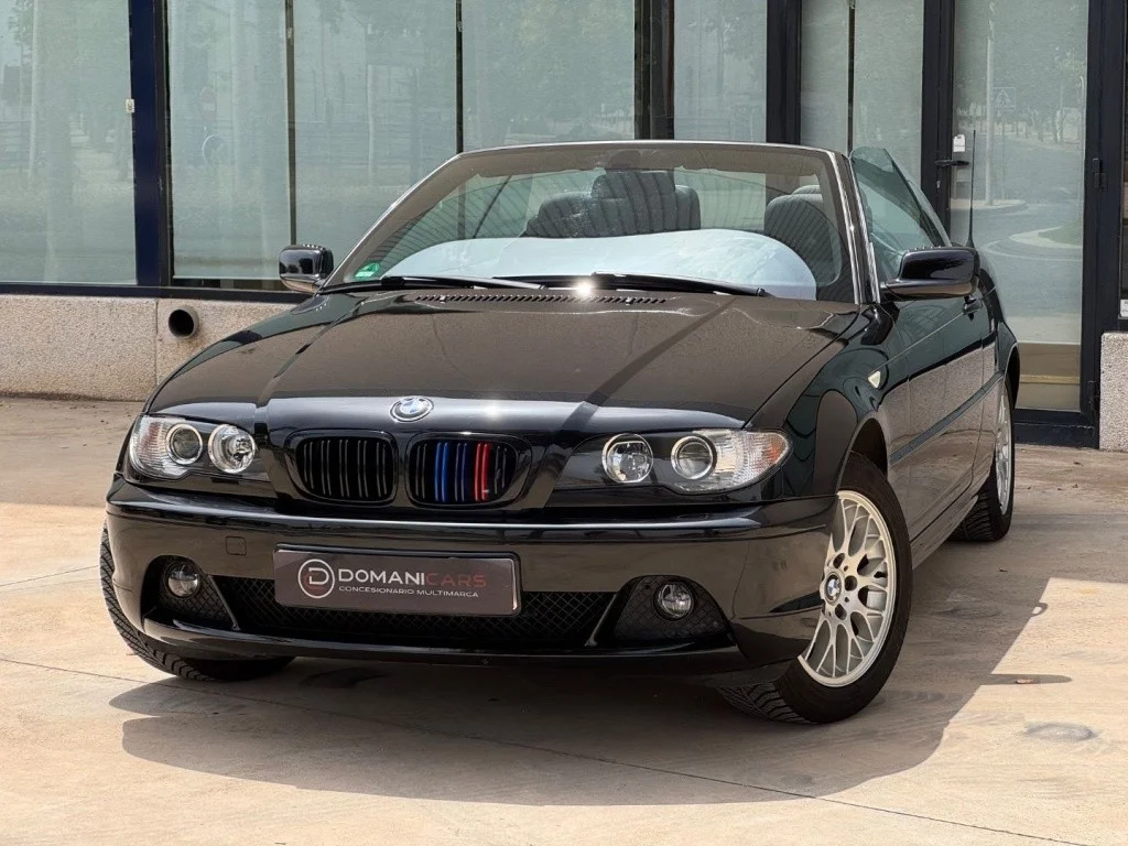 BMW Serie 3 318 Ci Cabrio