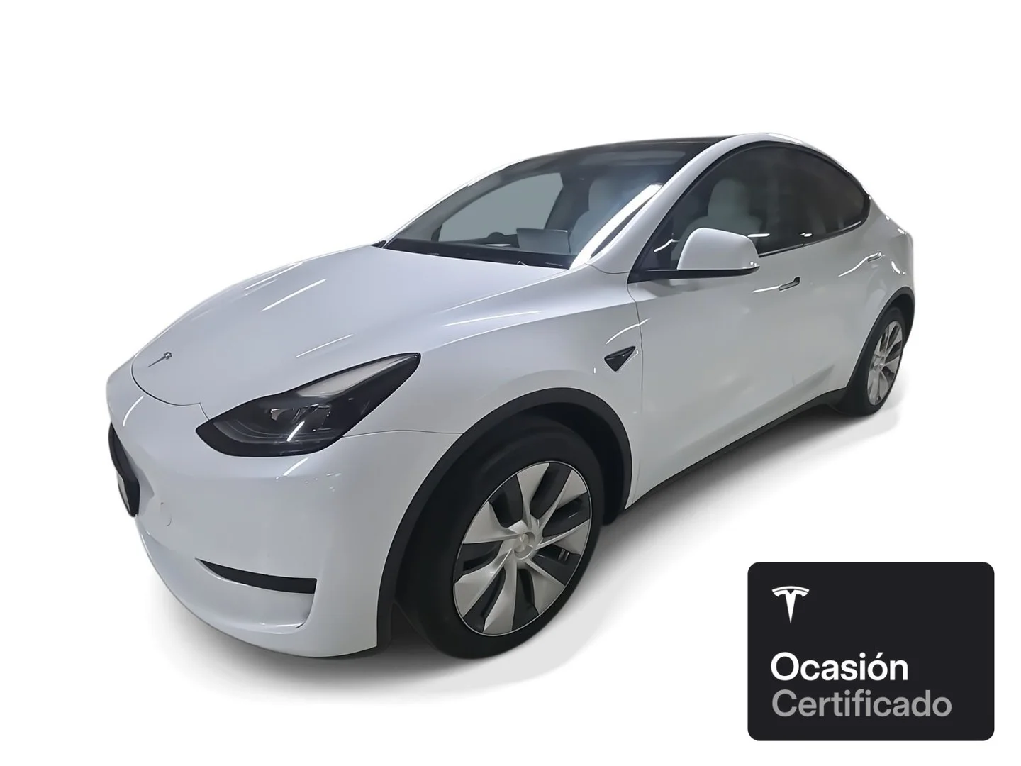 TESLA Model Y Rear-Wheel Drive
