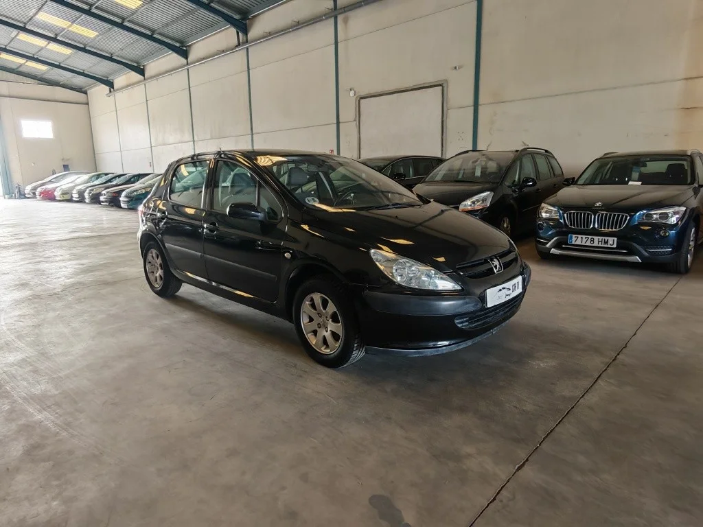 PEUGEOT 307 307 1.6i XR Clim Plus