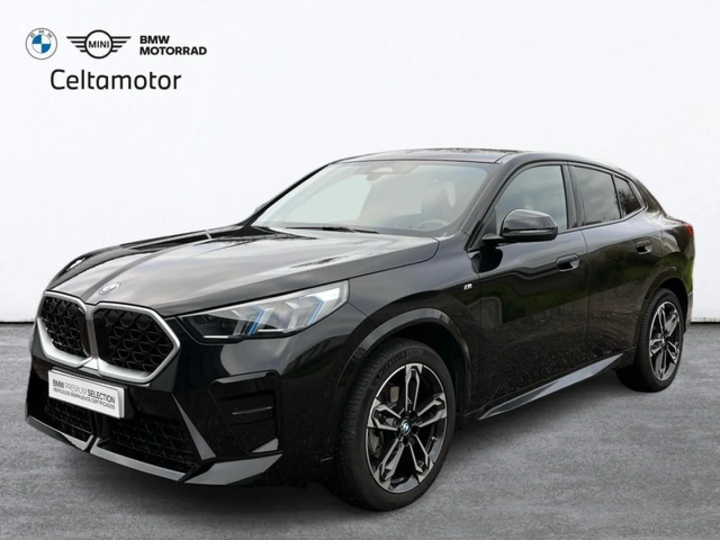BMW X2 X2 xDrive 20dA