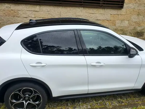Alfa Romeo Stelvio 2020 2.2 D B-Tech AT8